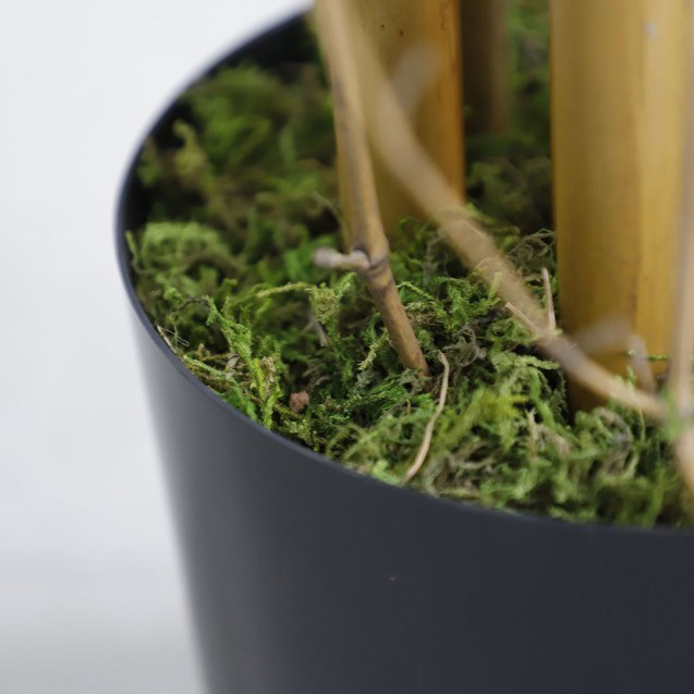 Bamboo  Np0075_180 Ύψος 180cm Newplan