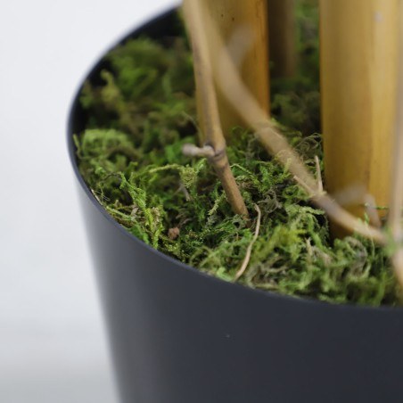 Bamboo  Np0075_180 Ύψος 180cm Newplan