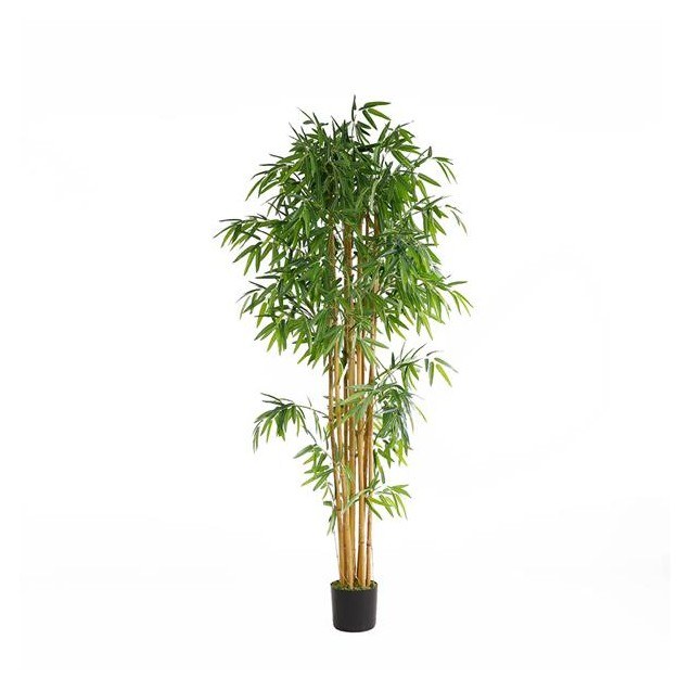 Bamboo  Np0076_210 Ύψος 210cm Newplan