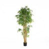 Bamboo  Np0076_210 Ύψος 210cm Newplan