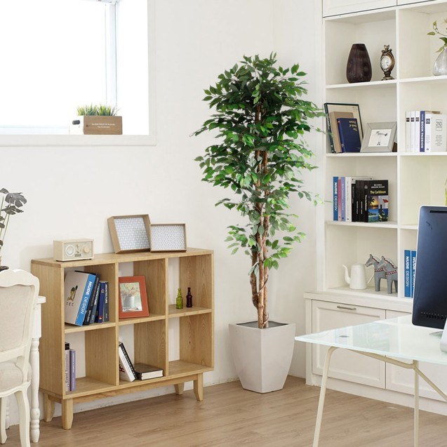 Ficus Tree Np0081_210   Ύψος 210cm Newplan