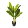 Banana Tree Np014_120_22  Ύψος 120cm Newplan