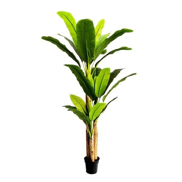 Banana Tree Np017_240_22 Ύψος 240cm Newplan