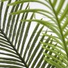 Palm Tree  Np0266_140 Ύψος 140cm Newplan