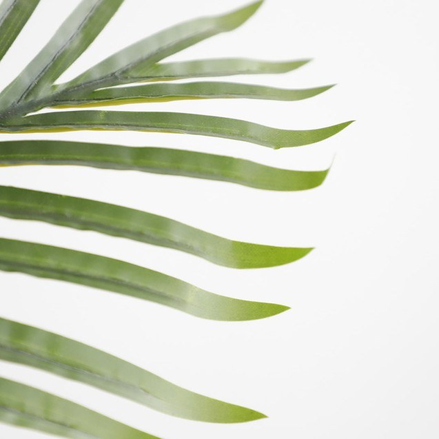 Palm Tree  Np0266_140 Ύψος 140cm Newplan