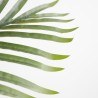 Palm Tree  Np0266_140 Ύψος 140cm Newplan
