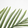 Palm Tree  Np0266_140 Ύψος 140cm Newplan