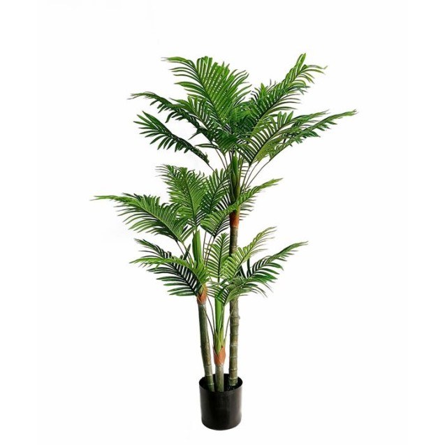 Palm Tree  Np0268_170 Ύψος 170cm Newplan