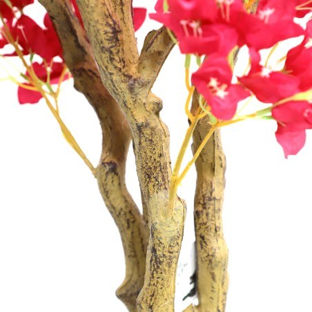 Bougainvillea  Np0421_210  Ύψος 210cm Newplan