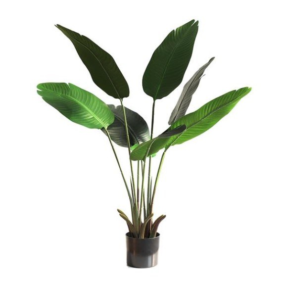 Banana Tree Np1410_120  Ύψος 120cm Newplan