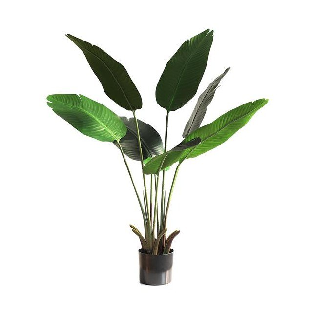 Banana Tree Np1410_120  Ύψος 120cm Newplan