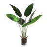 Banana Tree Np1410_120  Ύψος 120cm Newplan