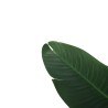 Banana Tree Np1410_120  Ύψος 120cm Newplan