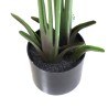 Banana Tree Np1410_120  Ύψος 120cm Newplan