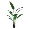 Banana Tree Np1411_160  Ύψος 160cm Newplan