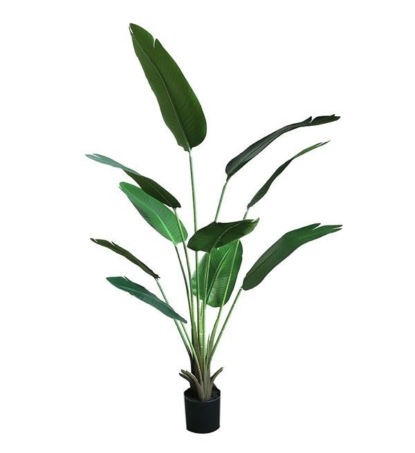 New Plan Banana Tree Np1411_160 Ύψος 160cm Newplan