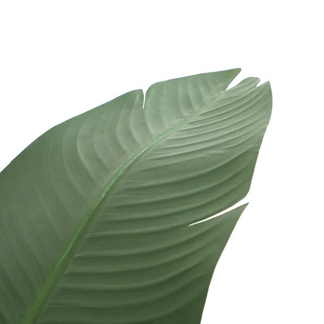 Banana Tree Np1411_160  Ύψος 160cm Newplan
