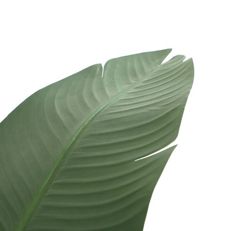 Banana Tree Np1411_160  Ύψος 160cm Newplan