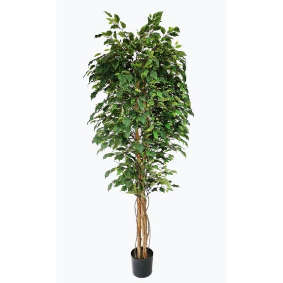 Ficus Tree Np230_210_Uv  Ύψος 210cm Newplan