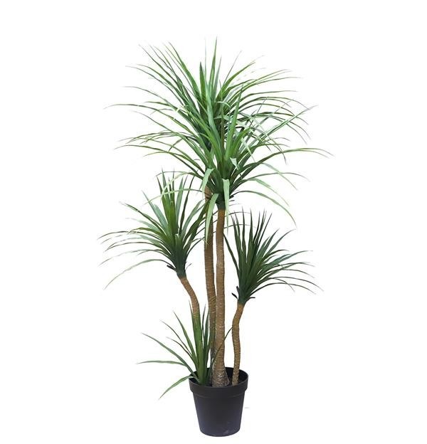 New Plan Dracaena Np_28_155 Ύψος 155cm Newplan