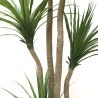Dracaena  Np_28_155  Ύψος 155cm Newplan