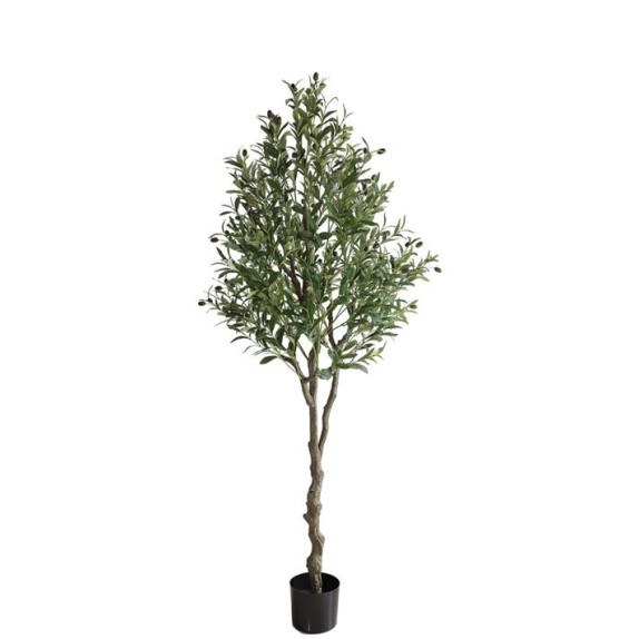 Olive Tree Np410_180  Ύψος 180cm Newplan
