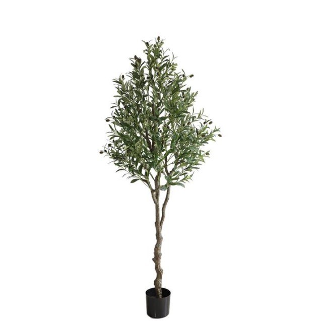 Olive Tree Np410_180  Ύψος 180cm Newplan