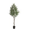 Olive Tree Np410_180  Ύψος 180cm Newplan