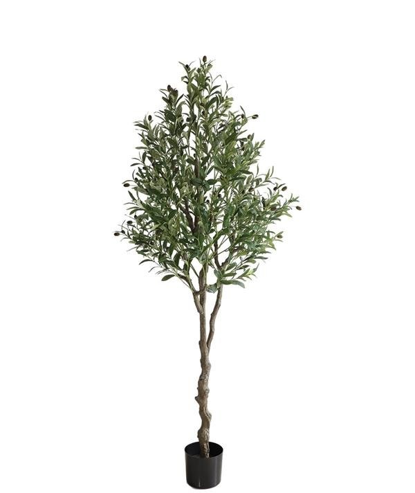 Olive Tree Np410_180 Ύψος 180cm Newplan
