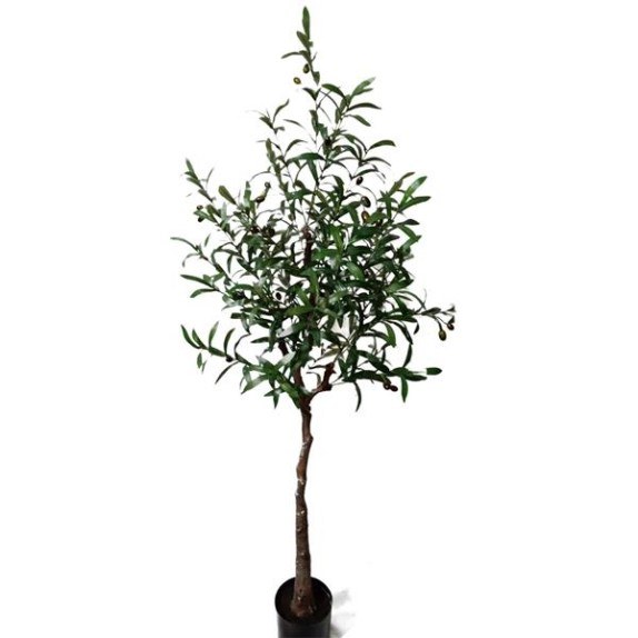 Olive Tree Np4817_160_22   Ύψος 160cm Newplan