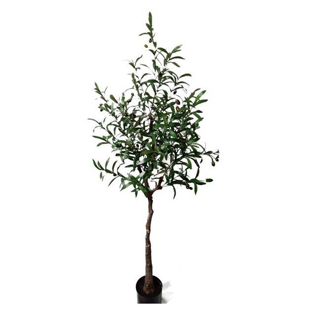 Olive Tree Np4817_160_22   Ύψος 160cm Newplan