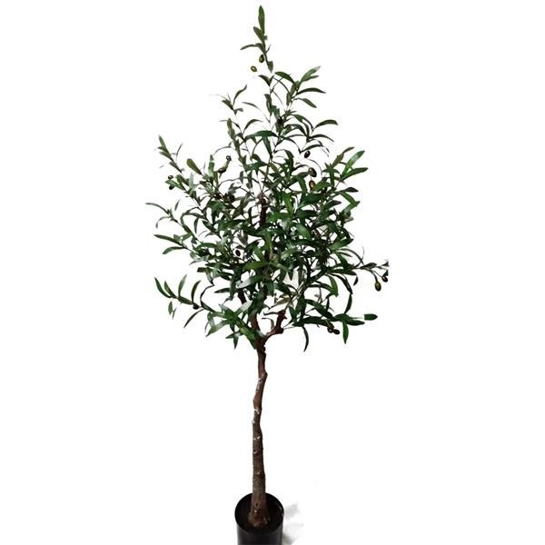 Διακοσμητικό Φυτό Olive Tree Np4817_160_22 Ύψος 160Cm Newplan