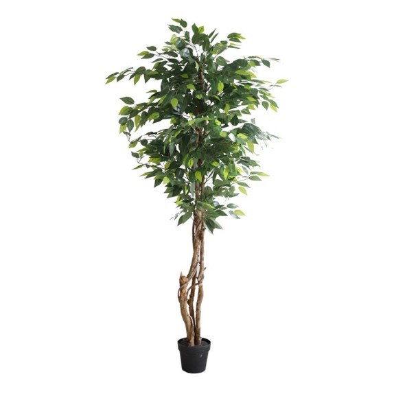 Ficus Tree Np5208_150   Ύψος 150cm Newplan