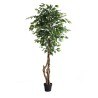 Ficus Tree Np5209_180  Ύψος 180cm Newplan
