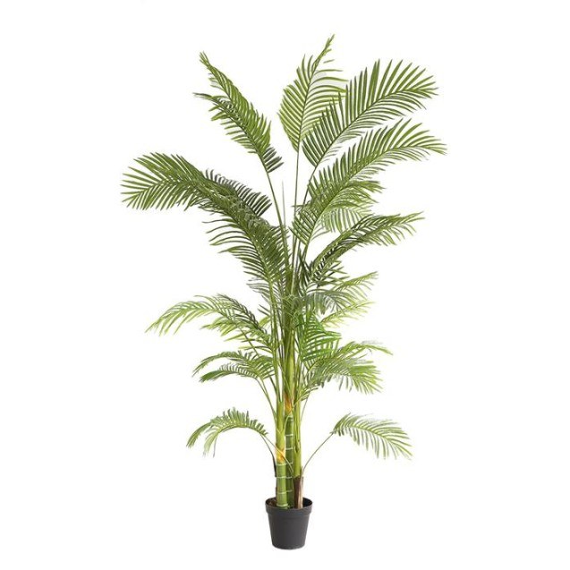 Palm Tree  Np5500_240_22 Ύψος 240cm Newplan