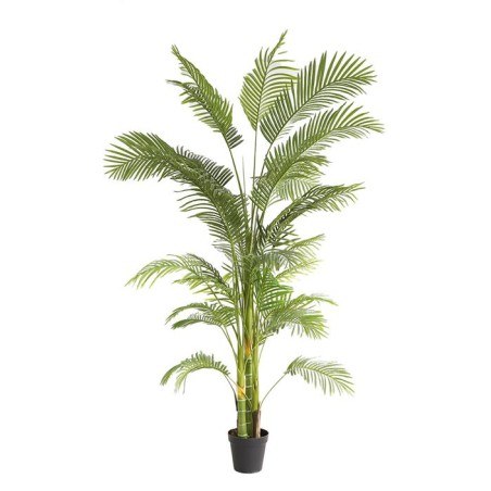 Palm Tree  Np5500_240_22 Ύψος 240cm Newplan