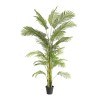 Palm Tree  Np5500_240_22 Ύψος 240cm Newplan