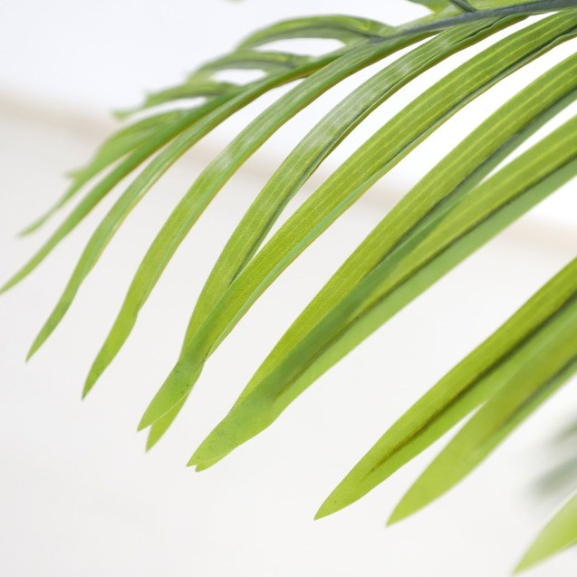 Palm Tree  Np5500_240_22 Ύψος 240cm Newplan