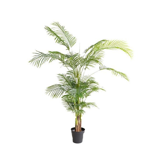 Palm Tree  Np5502_180_22   Ύψος 180cm Newplan