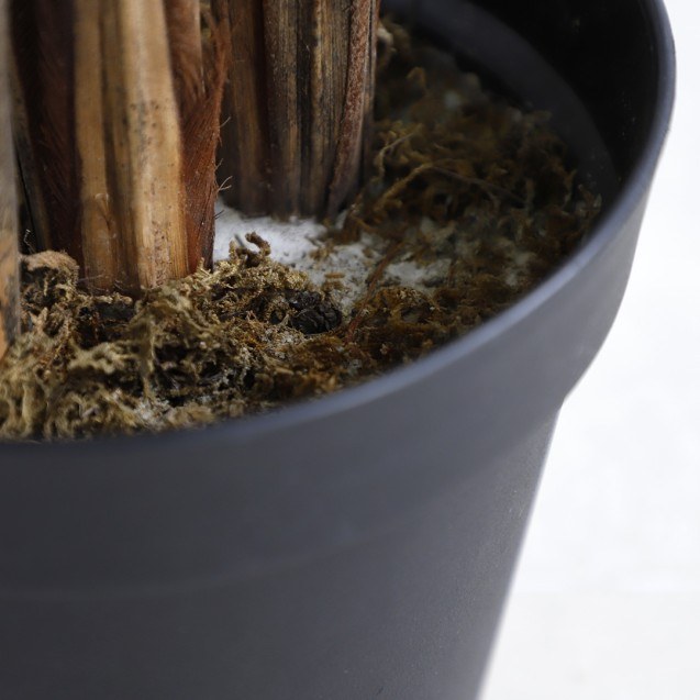 Palm Tree  Np5502_180_22   Ύψος 180cm Newplan