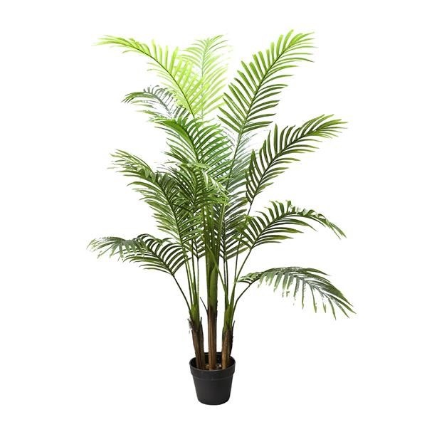 Palm Tree Np5505_150_22 Ύψος 150cm Newplan
