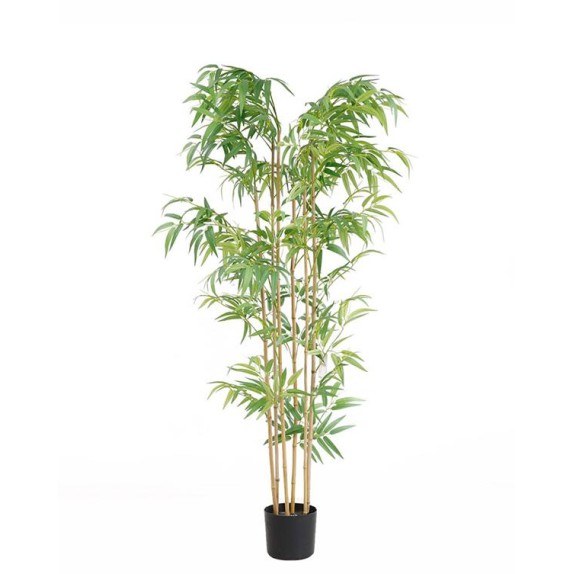 Bamboo  Np5801_150_22_Uv   Ύψος 150cm Newplan