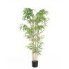 Bamboo  Np5801_150_22_Uv   Ύψος 150cm Newplan