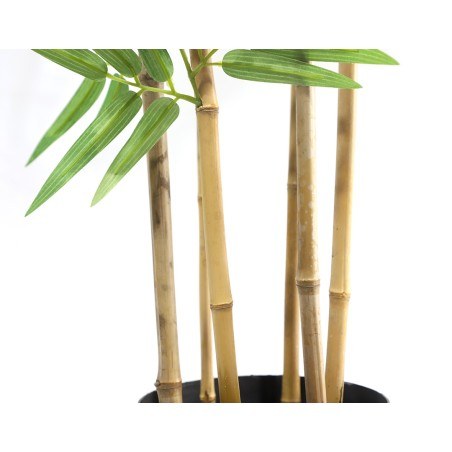 Bamboo  Np5801_180_22_Uv  Ύψος 180cm Newplan