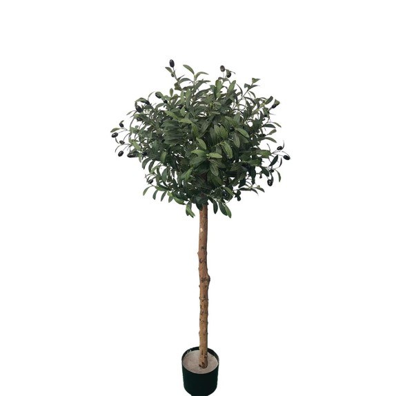 Olive Tree Np5807_150_22_Uv Ύψος 150cm Newplan