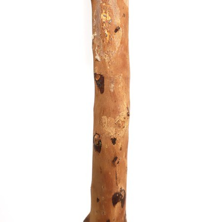 Olive Tree Np5807_150_22_Uv Ύψος 150cm Newplan