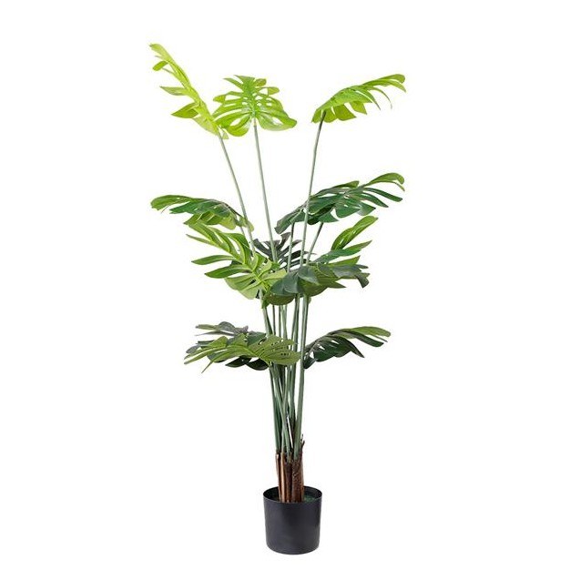 Monstera  Np6314_155_22   Ύψος 155cm Newplan