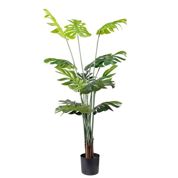 Διακοσμητικό Φυτό Monstera Np6314_155_22 Ύψος 155Cm Newplan