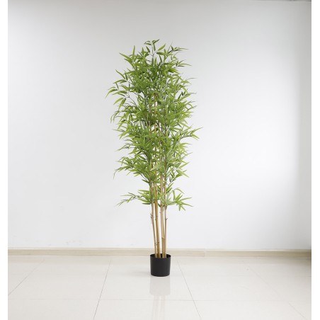 Bamboo  Np6321_180_22  Ύψος 180cm Newplan