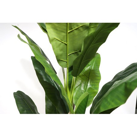Banana Tree Np6327_180_22  Ύψος 180cm Newplan